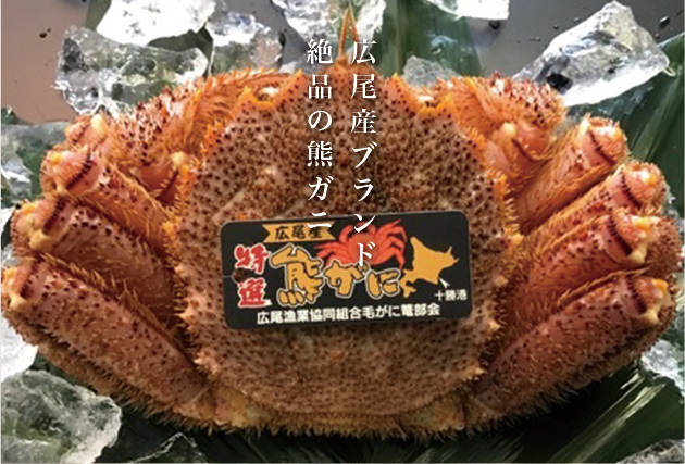 Brand of Hiro town: Superb “Kuma crab”