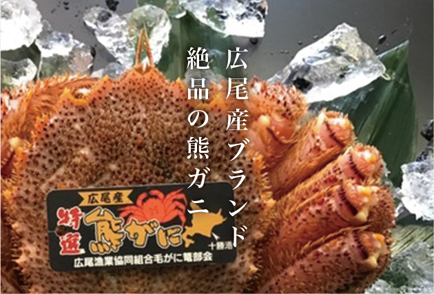 Brand of Hiro town: Superb “Kuma crab”