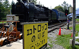 狩勝高原エコトロッコ鉄道