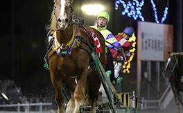 帯広ばんえい競馬