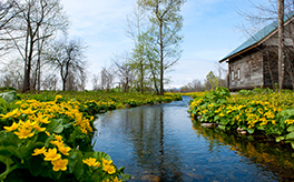 Rokka-no Mori (Rokka Garden)