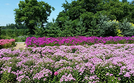 Tokachi Nuppuku Garden