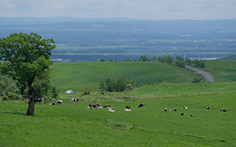 Naitaikogen Ranch